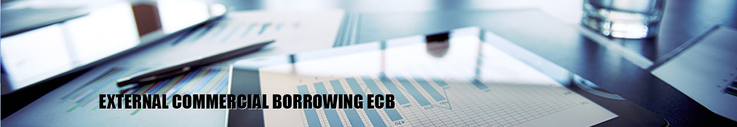 External Commercial Borrowing (ECB)