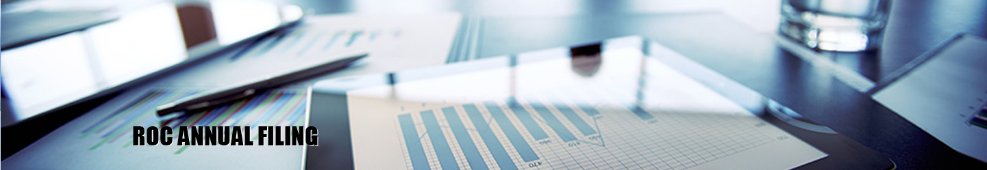ROC Annual Filing